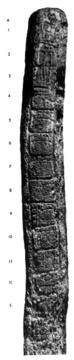 Photo of Uaxactun, Stela 22, left, 2004.15.5.13.68