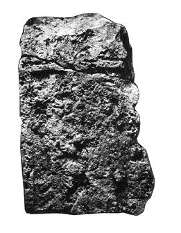 Photo of Uxmal, Stela 1, front, 2004.15.5.9.2