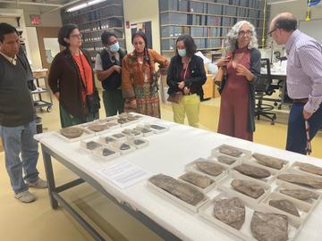 group viewing fossil specimens in comparative zoology storage space