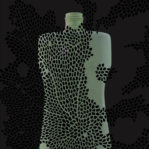 dishwashing liquid bottle that appears to be speckled with bryozoa.