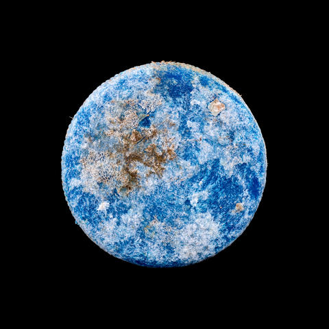 bottlecap with bryozoa growth resembles a planet in space.