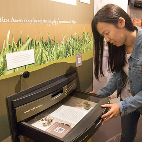 visitor opens stratigraphy drawer in exhibit.