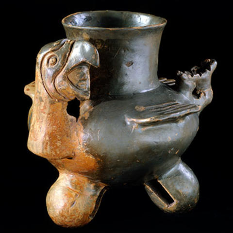 plumbate war jar with parrot.
