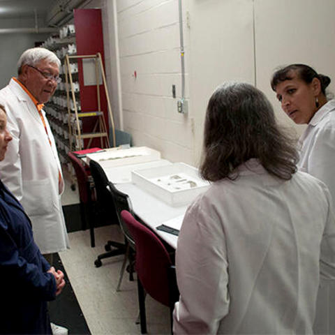 Four people standing in a museum storage room discussing collections on table