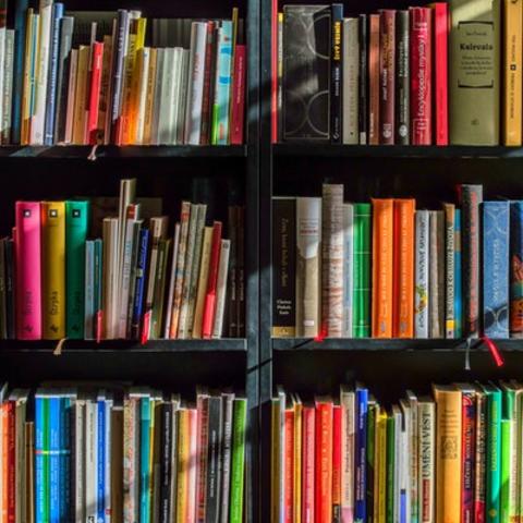 Books on a library