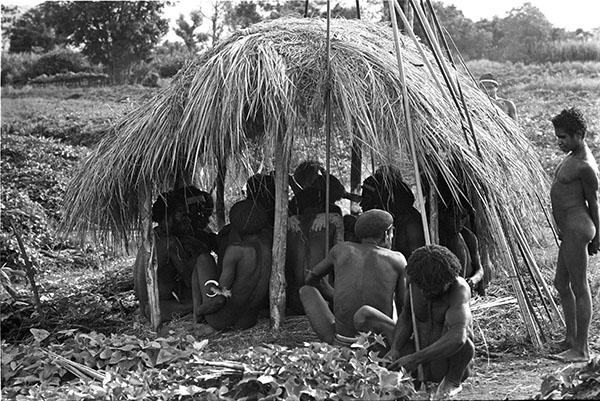 Photograph of Dani men sitting under an olea,&nbsp;Baliem Valley region,&nbsp;central highlands of western New Guinea (the Indonesian province of Papua), 1961.&nbsp;Photograph by Robert G. Gardner, 2006.16.1.11.6
