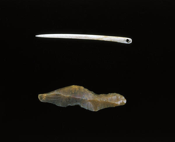 Bone needles from the Cavern of Espelugues, Lourdes,&nbsp;France. Gift of Charles Peabody, 12-17-40/81527