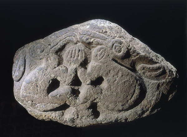 Rock carving from Orongo, Rapa Nui (Easter Island). Gift of Alexander Agassiz 1905, 05‐2‐70/64852