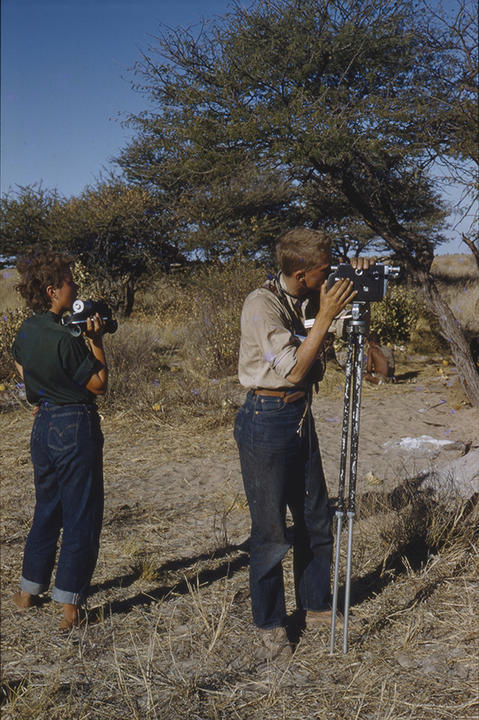 Woman and man in the field with cameras