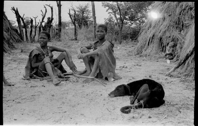 Two women and a dog sitting outside in a savannah