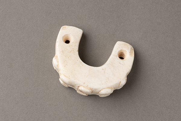 shell nose plug.