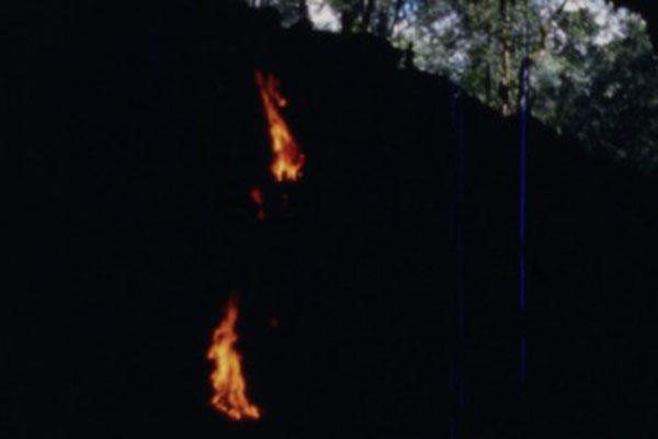 flame and partial blurry outdoor view.
