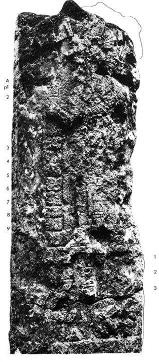 Photo of La Honradez, Stela 1, front, 2004.15.5.12.19