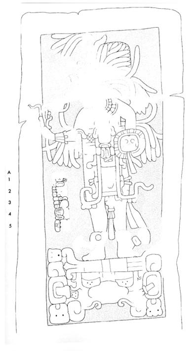 Drawing of La Honradez, Stela 5, front, 2004.15.6.12.21