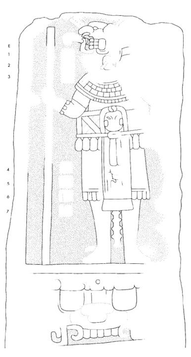 Drawing of La Honradez, Stela 7, front, 2004.15.6.12.25