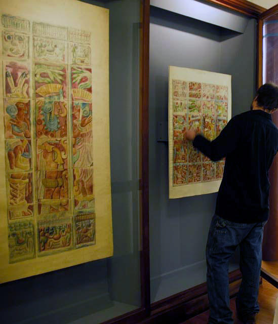 staff Installing Ann Morris drawings in exhibit cases