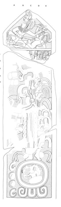 Drawing of Itzimte, Stela 7, front, 2004.15.6.8.6
