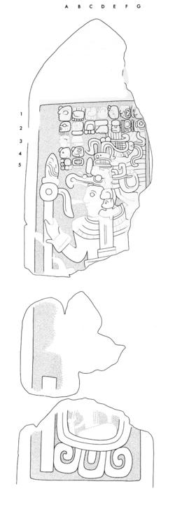 Drawing of Itzimte, Stela 9, front, 2004.15.6.8.8