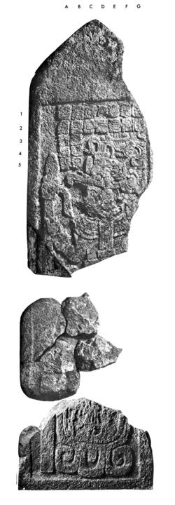 Photo of Itzimte, Stela 9, 2004.15.5.8.8