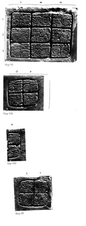 Photo of Naranjo, Hieroglyphic Staircase, steps 6 through 9