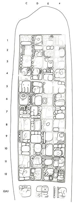 Drawing of Naranjo, Stela 14, back, 2004.15.6.2.25