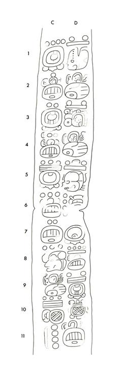 Drawing of Naranjo, Stela 25, left, 2004.15.6.3.2