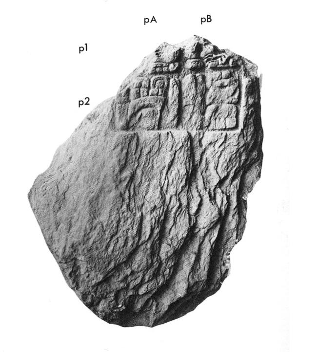 Photo of Naranjo, Stela 26