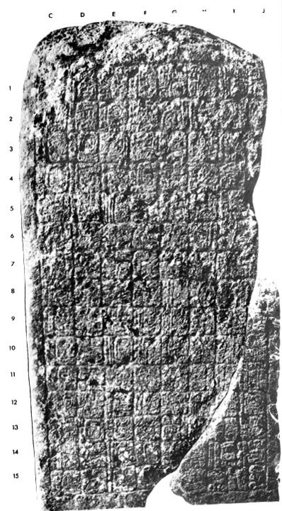 Photo of Naranjo, Stela 28, back, 2004.15.5.3.7