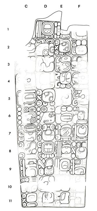 Drawing of Naranjo, Stela 35, back, 2004.15.6.3.17