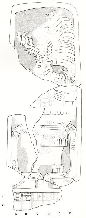 Drawing of Naranjo, Stela 37, front, 2004.15.6.3.19