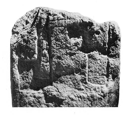 nar_st39_front_photo.jpg