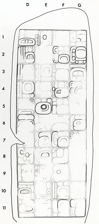 Drawing of Naranjo, Stela 6, back, 2004.15.6.2.13
