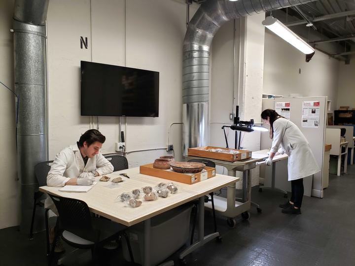 Two people in labcoats working with museum collections