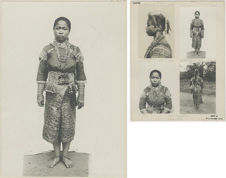 young bagabo woman looks at lens. also a board with four photos of bagabo women, one in profile, one facing away from lens, two facing lens.