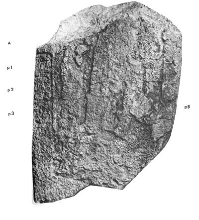 Photo of Pixoy, Stela 3, front, 2004.15.5.8.19
