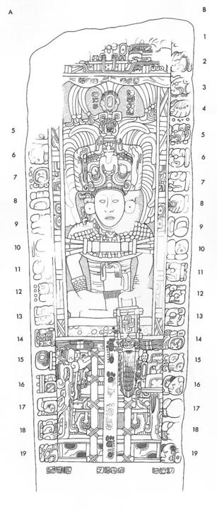 Drawing of Piedras Negras, Stela 6, front