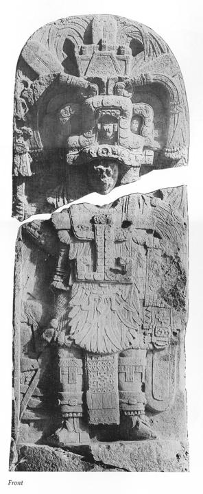Photo of Piedras Negras, Stela 7, front