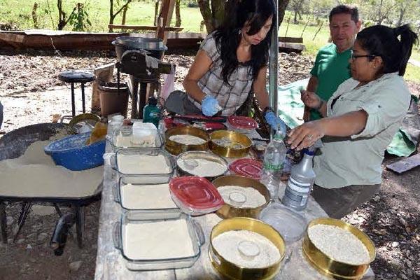 People with yellowish limestone powders in containers