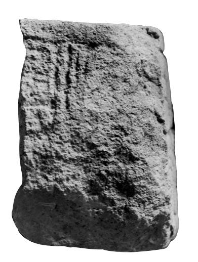 Photo of Tonina, Fragment 91, left side