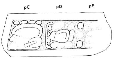 Drawing of Tonina, Monument 17, side 2
