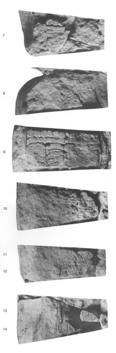 Photo of Tonina, Monument 160, 7-14
