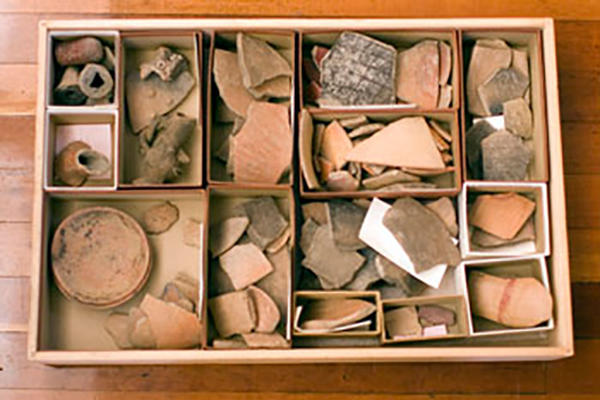 Tray of ceramics before reorganization.