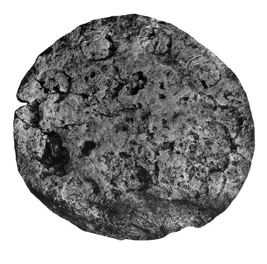 Photo of Uaxactun, Altar 1, 2004.15.5.13.4