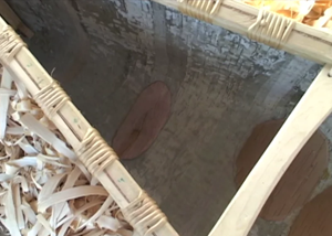 v9_planks.png