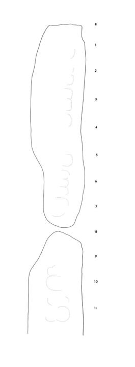 Drawing of Xultun, Stela 13, left, 2004.15.15.1.410