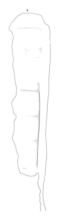 Drawing of Xultun, Stela 17, left, 2004.15.15.1.423