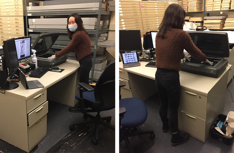 Woman standing in an office using a scanner