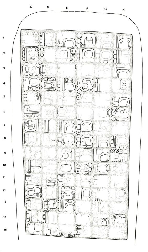 Drawing of Naranjo, Stela 30, back, 2004.15.6.3.11