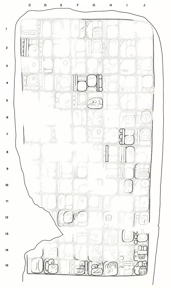 Drawing of Naranjo, Stela 31, back, 2004.15.6.3.13