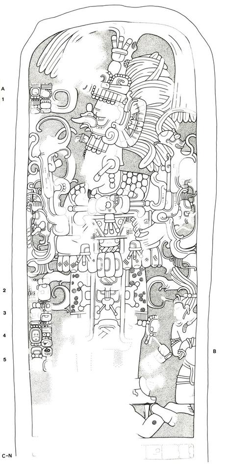 Drawing of Naranjo, Stela 7, front, 2004.15.6.2.14
